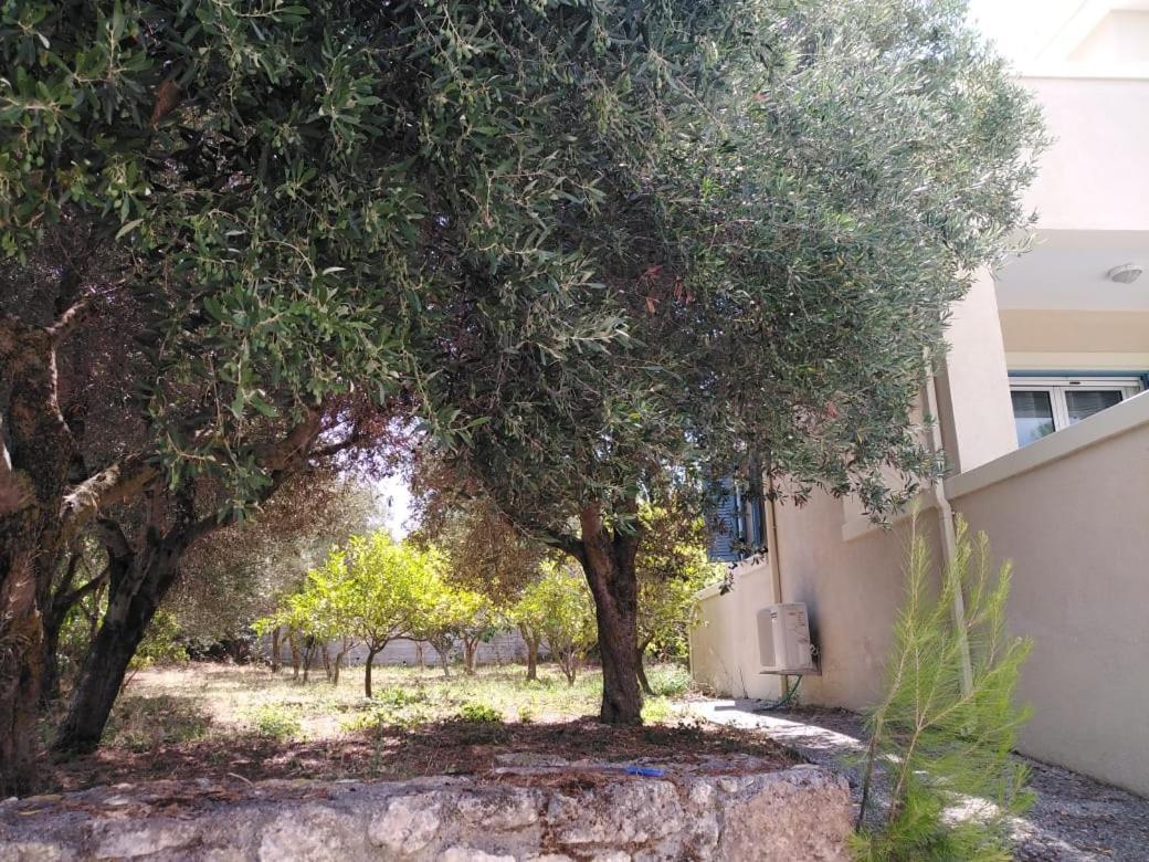Villa Eytychia Fokata Εξωτερικό φωτογραφία